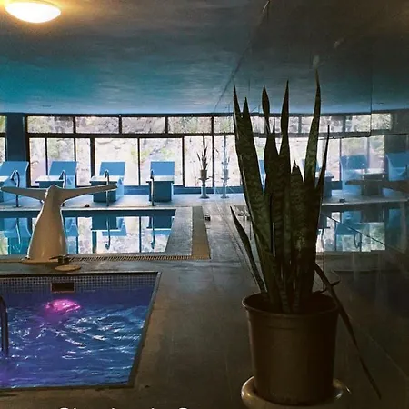 Paradise Apartamento